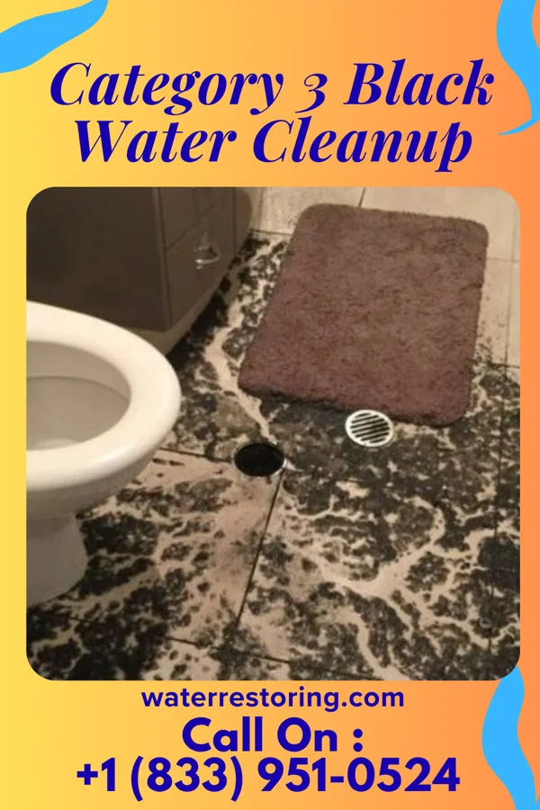 Category 3 Black Water Cleanup in Columbia Falls, MT